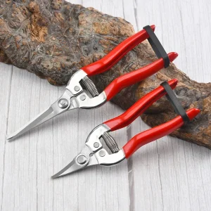 Stainless Steel Pruning Scissors